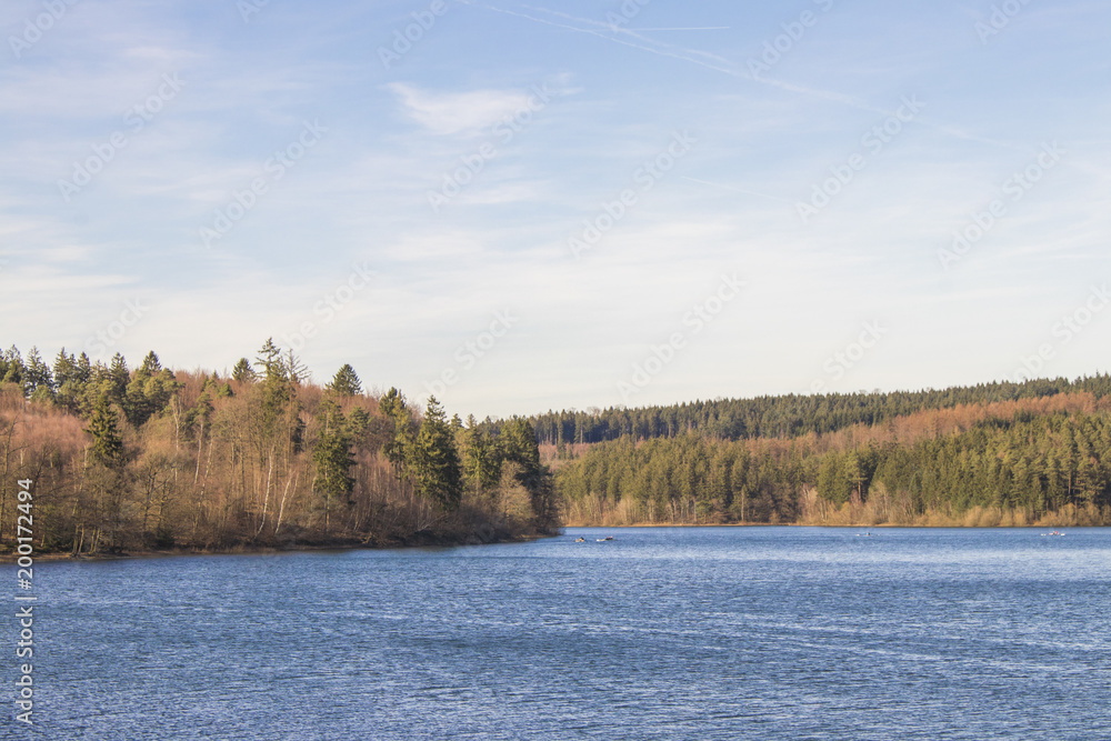 Natural enviroment of the german sorpesee Natural enviroment of the german sorpesee