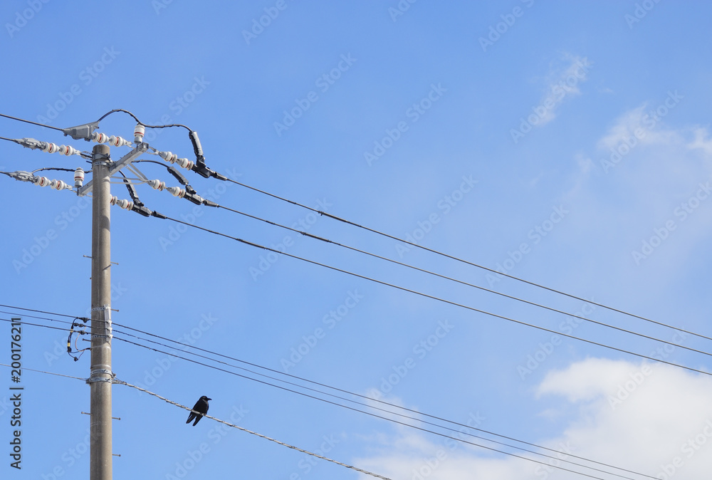 電線 電信柱 カラス 空 素材 Stock 写真 Adobe Stock 電線 電信柱 カラス 空 素材 Stock 写真 Adobe Stock