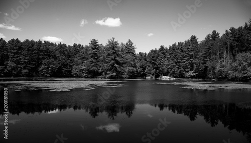 Black and white pond