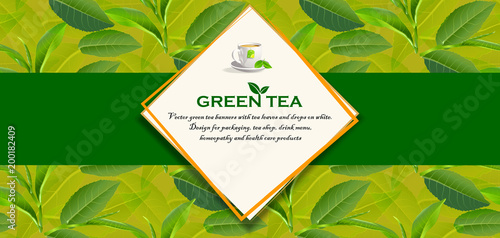 Green tea leaves vector nature background.