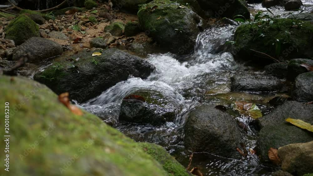 Stones and rocks covered by moss along water stream