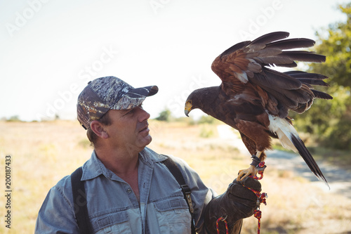 Falconer with golden eagle