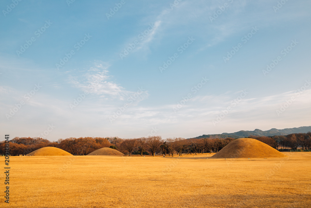 Obraz premium Inwang-dong tomb complex, ancient ruins in Gyeongju, Korea