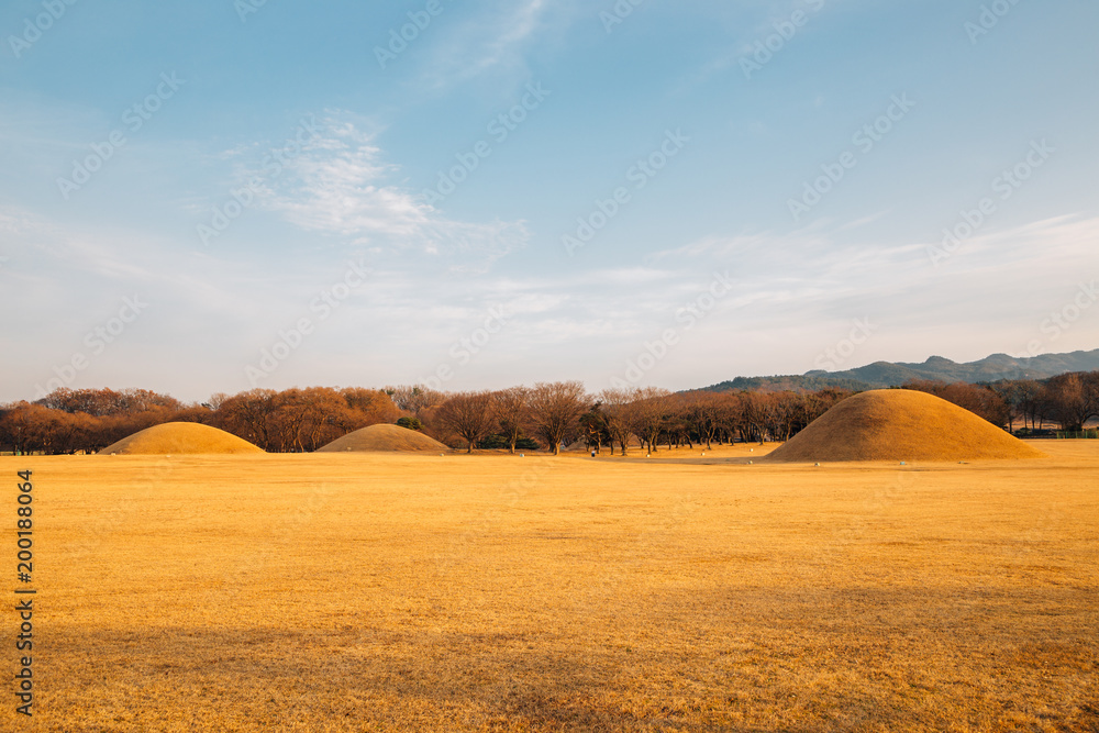 Obraz premium Inwang-dong tomb complex, ancient ruins in Gyeongju, Korea
