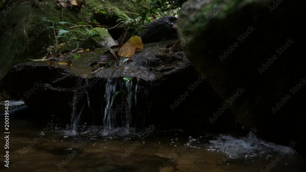custom made wallpaper toronto digitalStones and rocks covered by moss along water stream