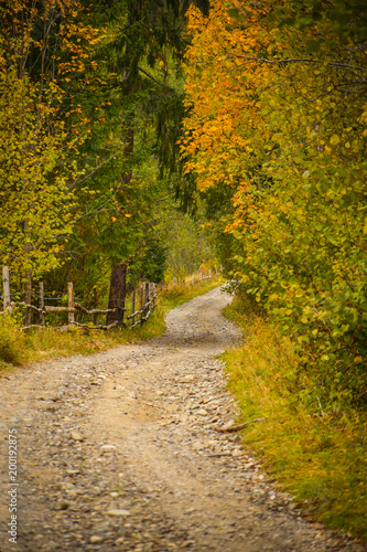 Autumn scenery landscape with colorful forest, wood fence and rural road in Prisaca Dornei, Suceava County, Bucovina, Romania	
