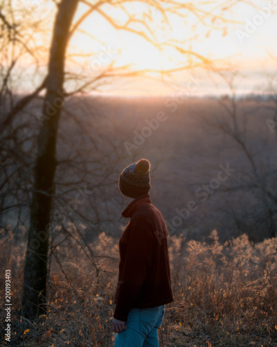 Winter in the woods