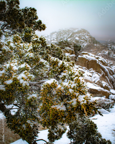 Snow in the Wichita Mountains