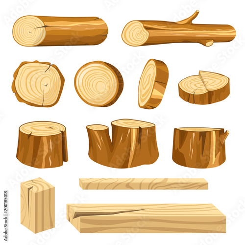 Long logs, polished planks and short stumps set