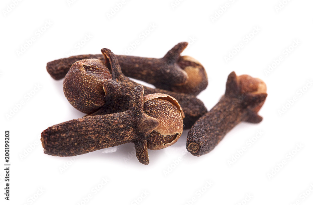 dry cloves on white background dry cloves on white background