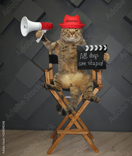 The cat director in a red hat with a megaphone and a clapperboard sits on the chair. photo