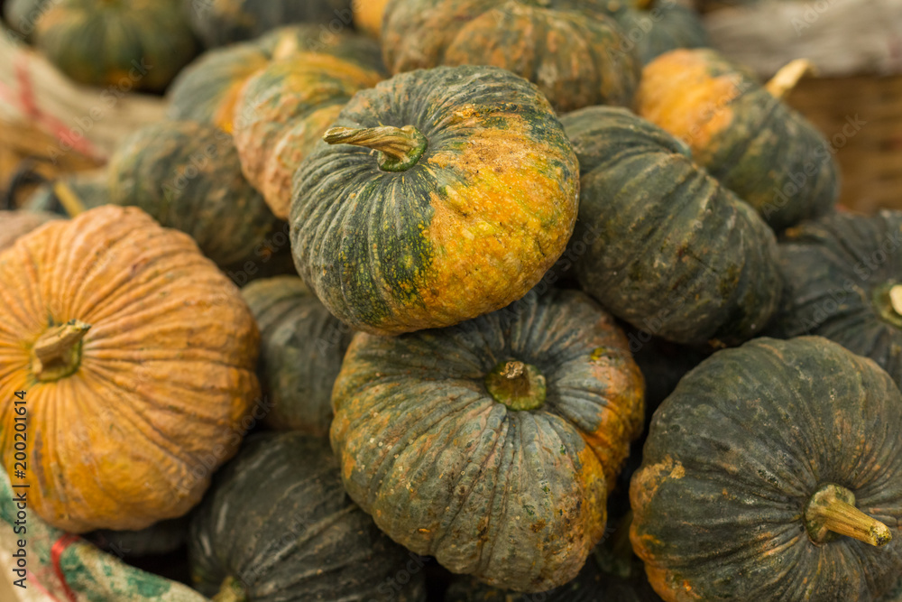 Wagon of Autumn Carving Pumpkins for Sale at Pumpkin Patch Wagon of Autumn Carving Pumpkins for Sale at Pumpkin Patch