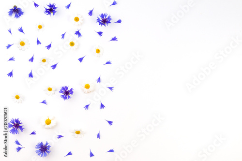 Cornflowers and chamomile on white background. Flat lay, top view