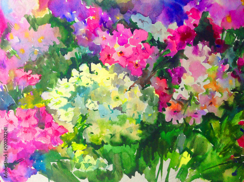 watercolor art  background floral  exotic spring flowers lilac blossom branch  orchids bloom painting bright  textured  decoration  hand beautiful colorful delicate romantic