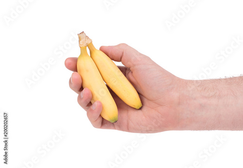 Small tropical banana cluster