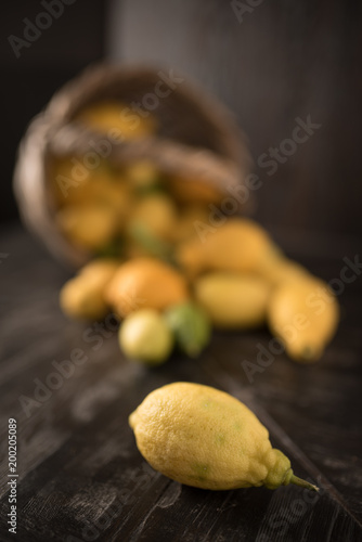 Collection of lemons in the basket