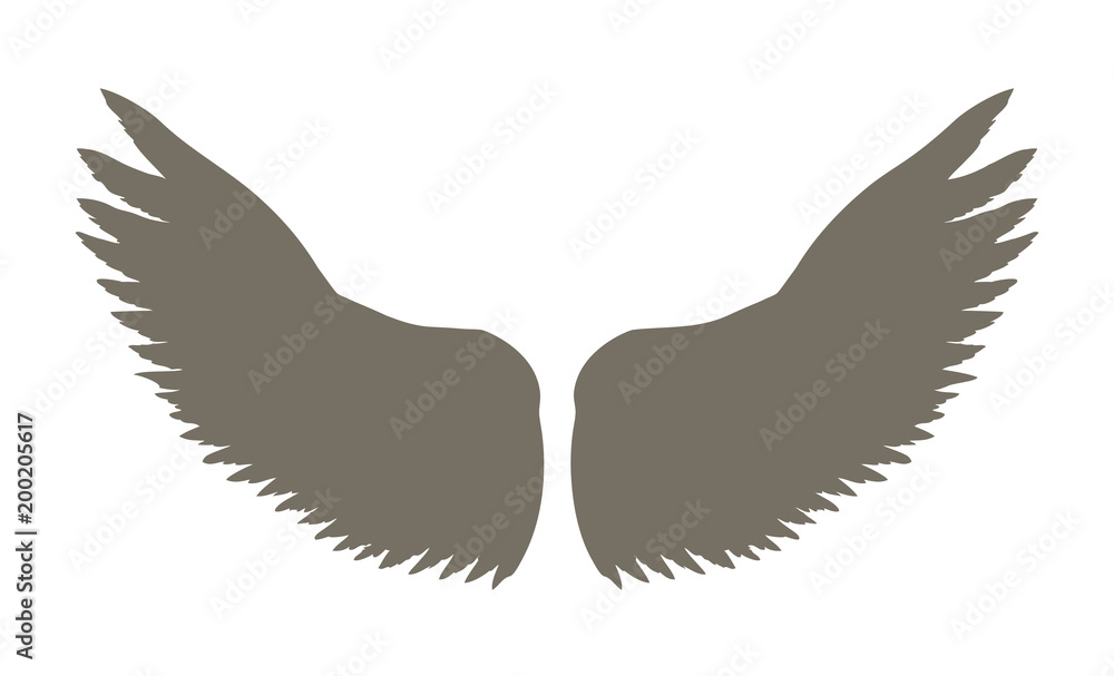 Obraz premium Outstretched wings. Vector drawing