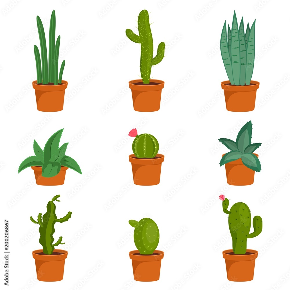 Set of cactus houseplants in flower pots. Cactus icons in a flat style on a white background. Succulent plants. Vector illustration Set of cactus houseplants in flower pots. Cactus icons in a flat style on a white background. Succulent plants. Vector illustration