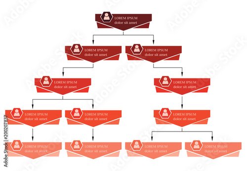 Colorful business structure concept, corporate organization chart scheme with people icons. Vector illustration.
