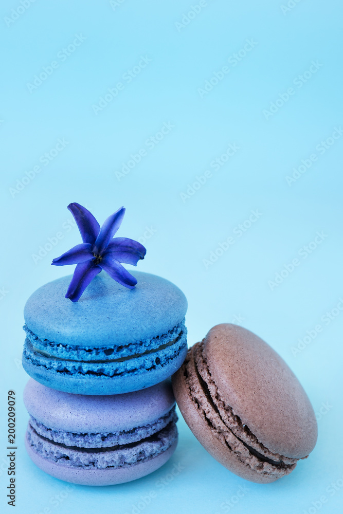 Three multicolor macaroons on a light blue background with hyacinth flower on a top. Lavender, chocolate, blueberry, tastes with copy space Three multicolor macaroons on a light blue background with hyacinth flower on a top. Lavender, chocolate, blueberry, tastes with copy space