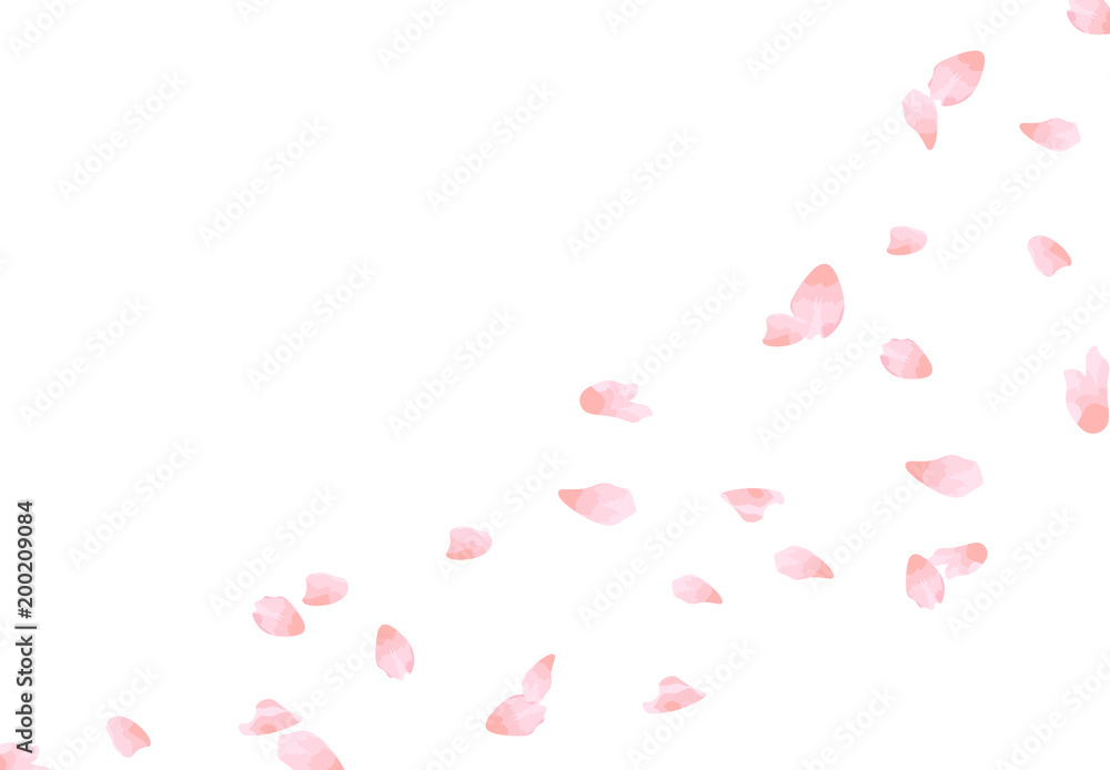 Sakura. Flying petals in the wind in pastel colors. isolated on white background. illustration