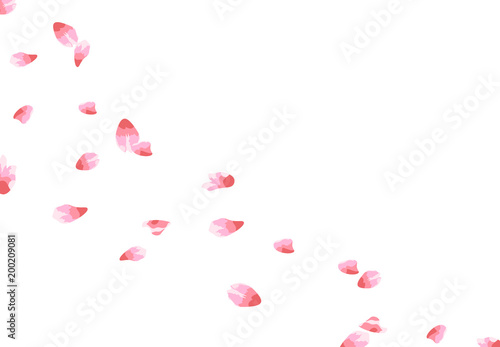 Sakura. Flying petals in the wind. isolated on white background. illustration