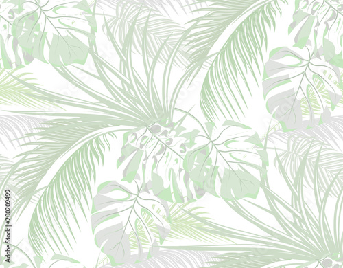 Jungle. background of leaves of tropical palms, monster, agave. Seamless. Isolated on white. illustration