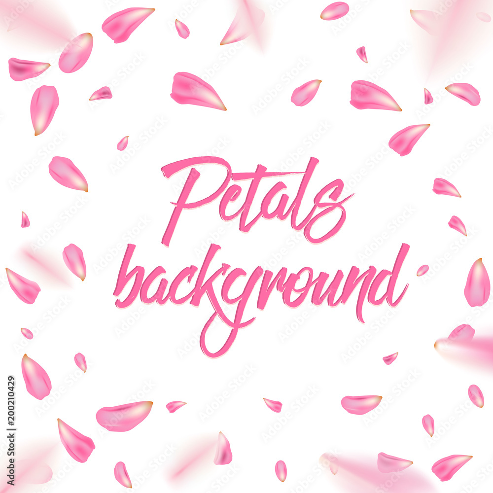 Creative vector illustration of flowers petals falling on vector transparent background. Pink, red rose or sakura flying backdrop for, mother, women day. Art design. Abstract concept graphic element.