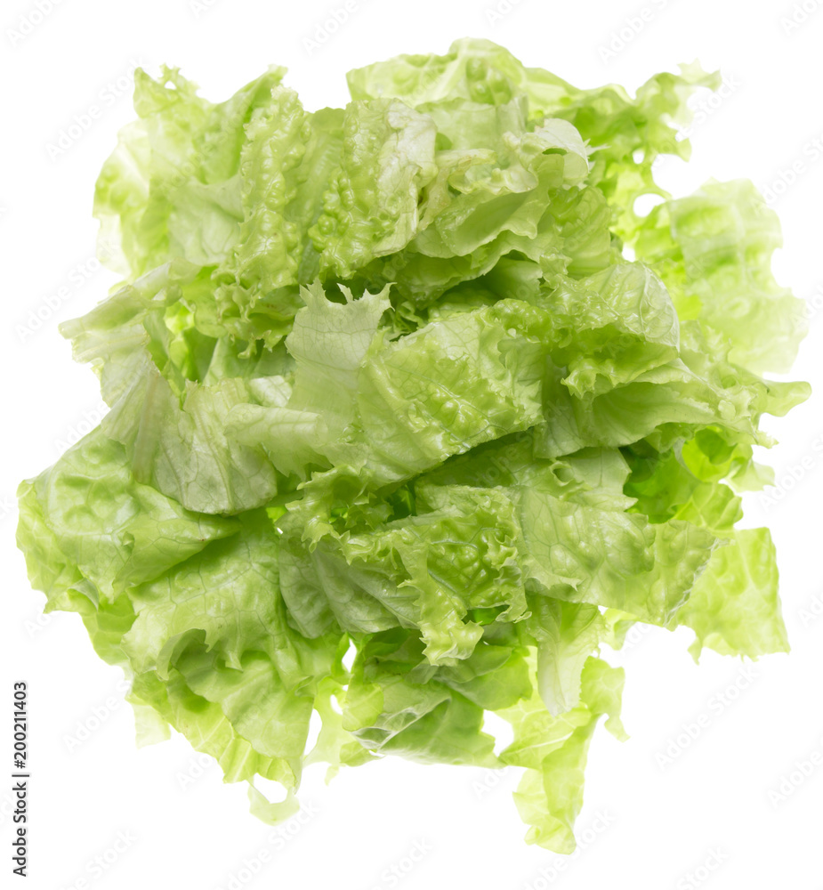 cut salad leaves on a white background cut salad leaves on a white background
