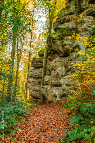 Hike along Mullerthal trail photo