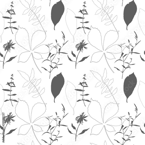 chestnut leaves sunflower herbs pattern small r