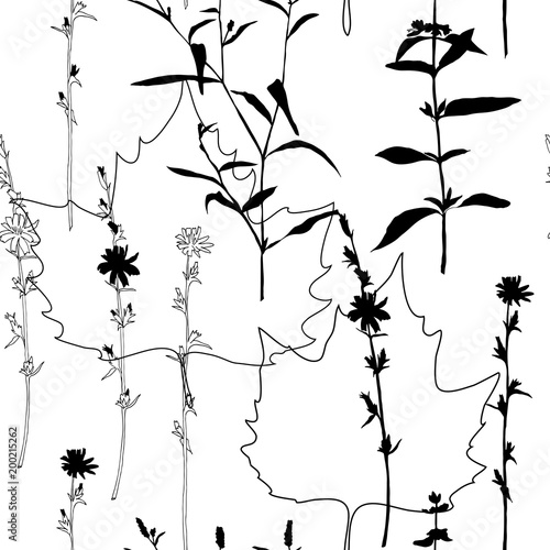 Summer flowers, herbs and leaves floral vector seamless pattern. Realistic botanical background with hand drawn chicory flowers, maple leaves and herbal grasses.