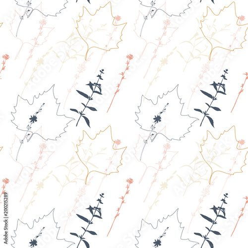 Summer flowers, herbs and leaves floral vector seamless pattern. Realistic botanical background with hand drawn chicory flowers, maple leaves and herbal grasses.