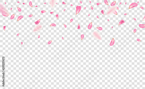 Creative vector illustration of flowers petals falling on vector transparent background. Pink, red rose or sakura flying backdrop for, mother, women day. Art design. Abstract concept graphic element.