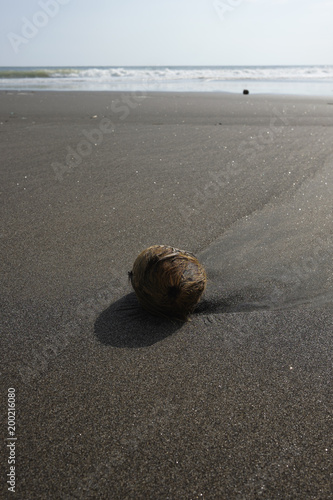 Kokusnuss am Strand