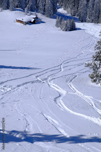 multiple ski tracks in deep snow