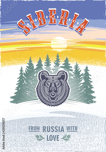 Сибирь, стилизованная голова медведя на фоне елей, рассвет, Россия, любовь, цветной постер, иллюстрация, вектор