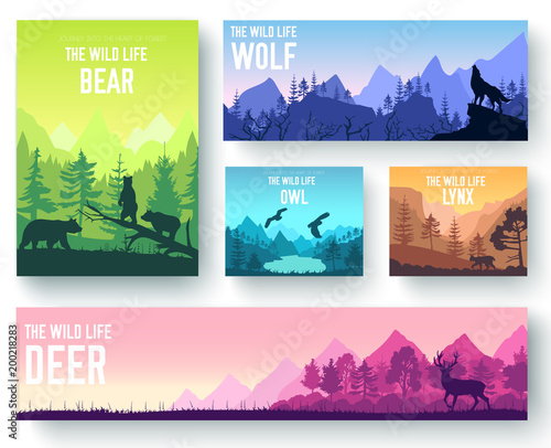 Wildlife in nature vector brochure cards set. Animals template of flyer, magazines, poster, book cover, banners. Habitat invitation concept background. Layout illustration modern page
