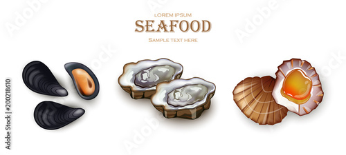 Mussels, Oysters and scallop Seafood Vector. Realistic detailed 3d illustration set collections