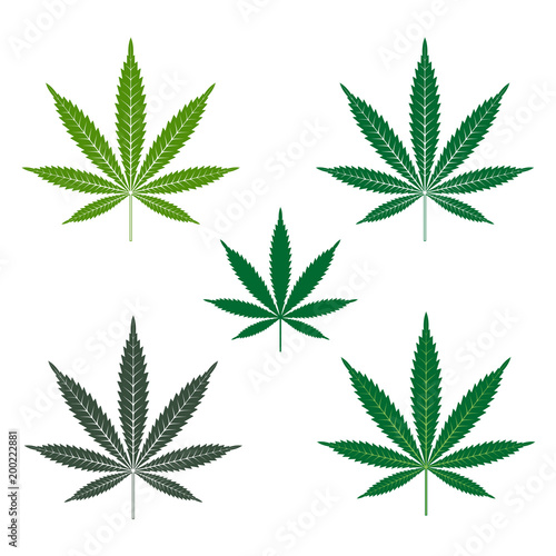 Cannabis or marijuana leaf icons set. Vector Logo Template. Isolated illustration on white background.