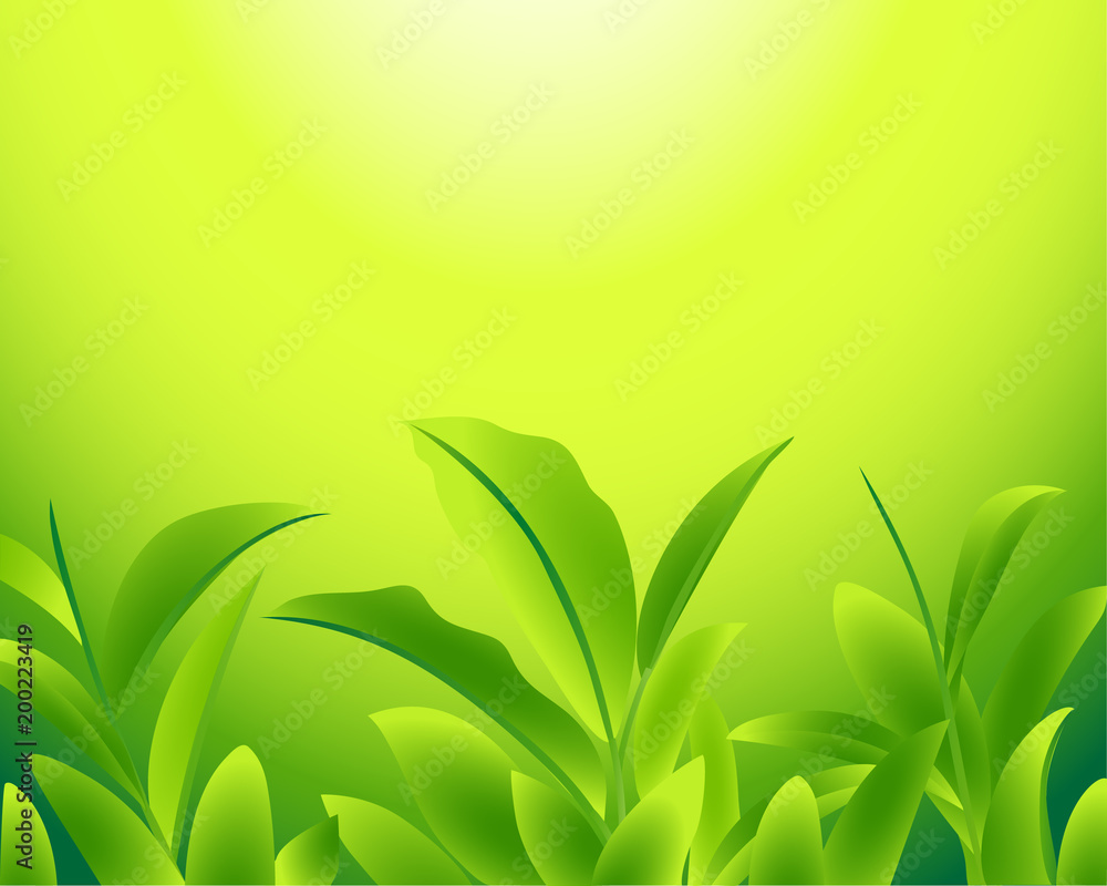 Trà xanh là thức uống vô cùng tốt cho sức khỏe và giúp giải độc cơ thể. Vector lá trà xanh thật sự là một kiệt tác sáng tạo, tạo nên những chi tiết độc đáo về hương vị và màu sắc trà xanh.