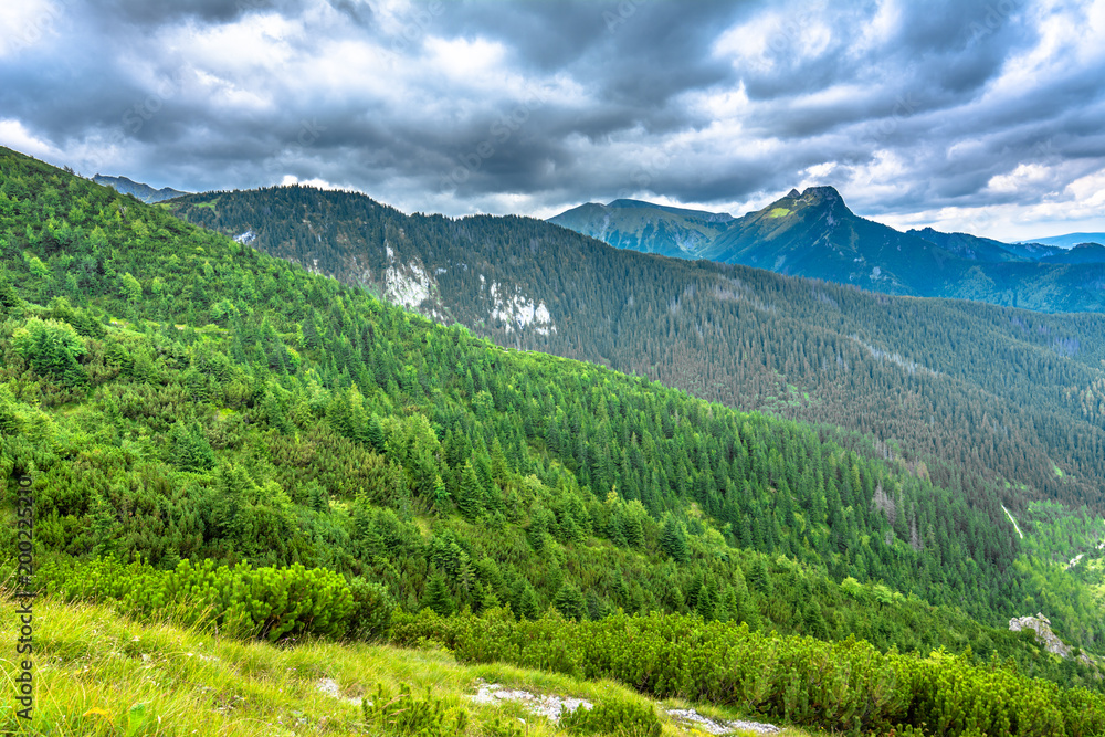 Green forest and mountains, panorama with top of the mountain in the sky