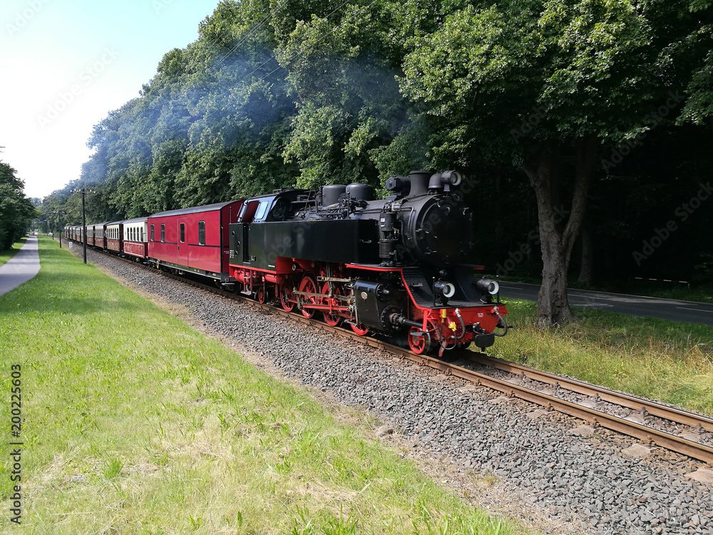 Fototapeta premium popędzać