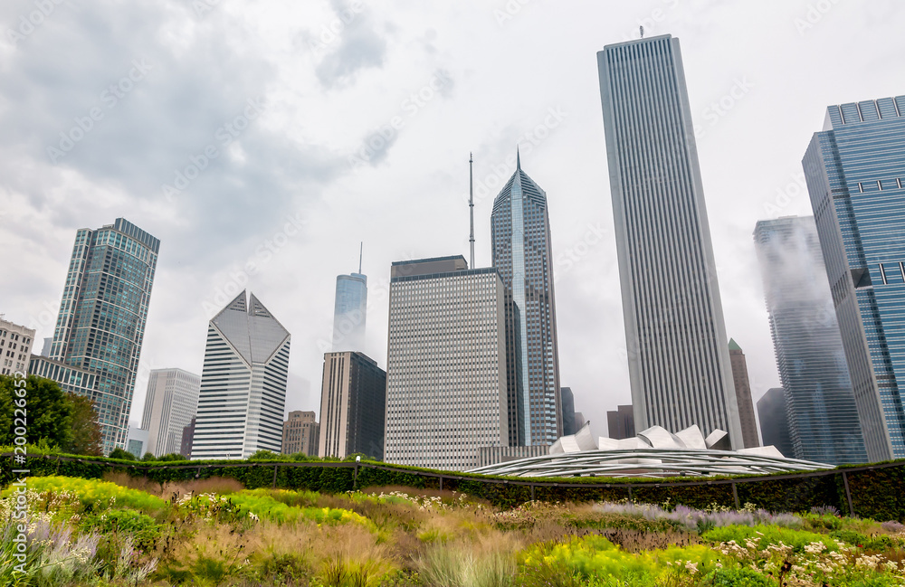 View of Chicago cityscape with skyscrapers from Millenium Park in a cloudy day, Illinois, USA