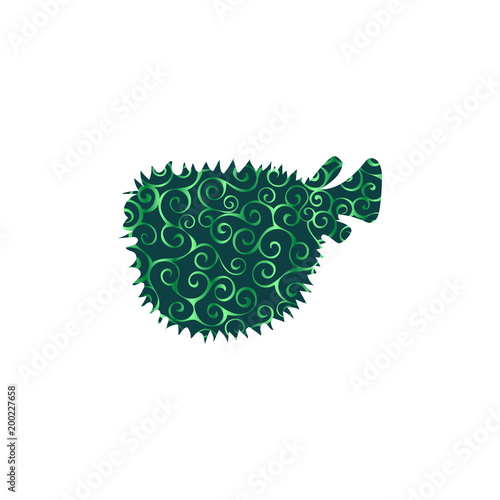 Seaurchin fish spiral pattern color silhouette aquatic animal