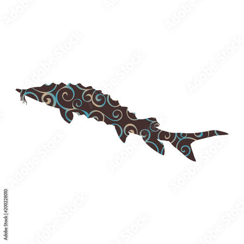 Sturgeon fish spiral pattern color silhouette aquatic animal