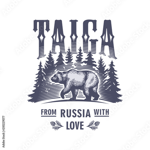 Тайга, идущий медведь на фоне елей, Россия, любовь, иллюстрация, вектор