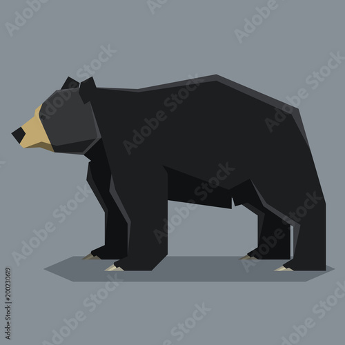 Flat polygonal American bleck Bear photo