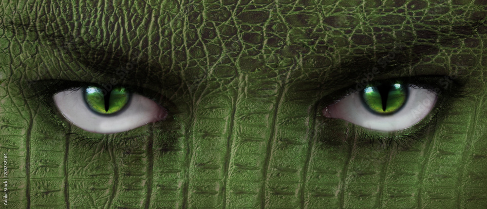 Obraz premium Reptilen