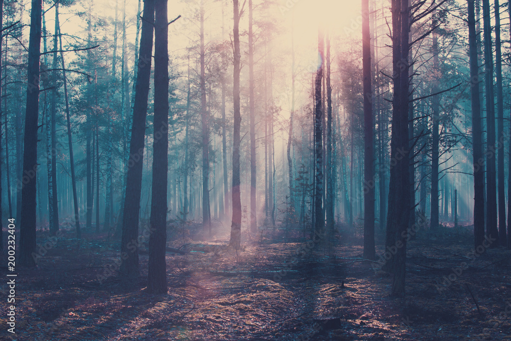 Naklejka premium Halloween background